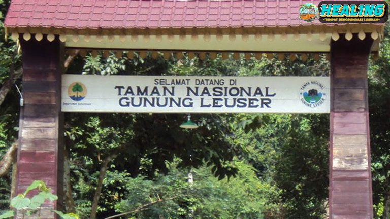 PTPN I Latih Pemandu Wisata TNGL Implementasi Program TJSL Holding Perkebunan Nusantara