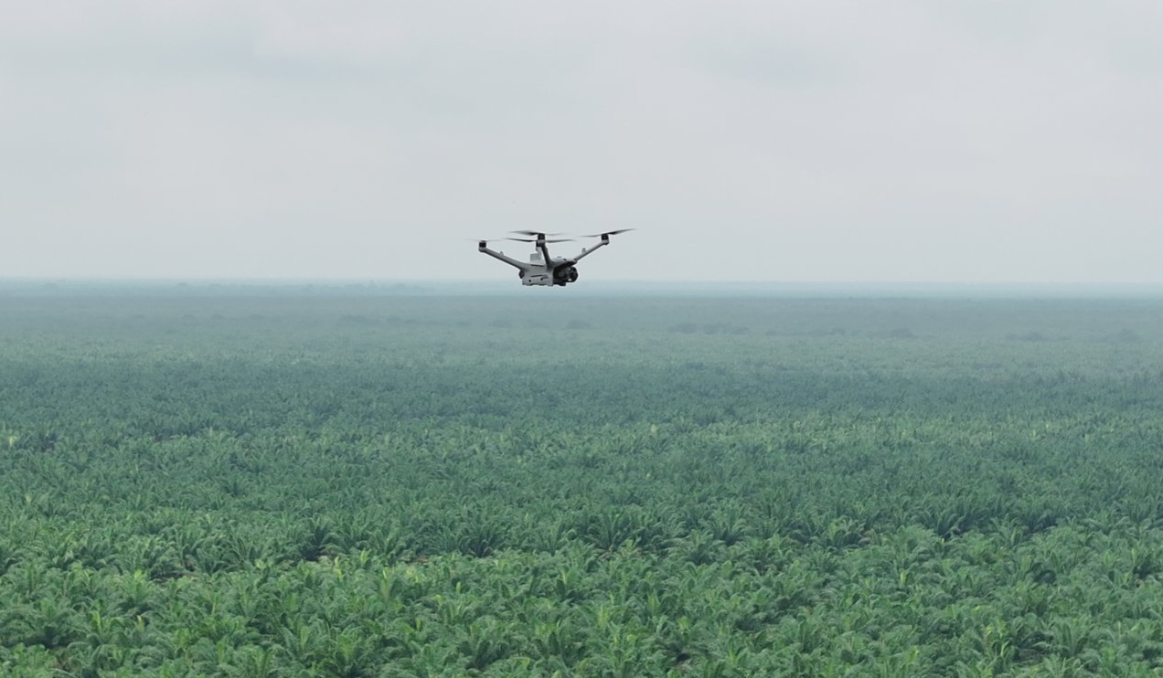 Teknologi Drone Thermal Cegah Kebakaran di Perkebunan Luas