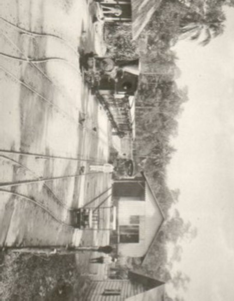 Evolusi Modern Industri Sawit Nusantara Bermula Empat Benih Zaman Kolonial