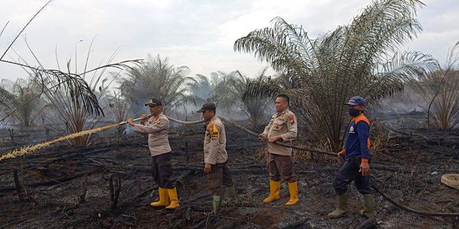 Lima Hektar Lahan Gambut di Siak Kembali Terbakar