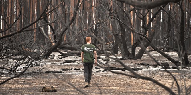 Australia Apresiasi Indonesia Atas Bantuan Penanganan Kebakaran Hutan