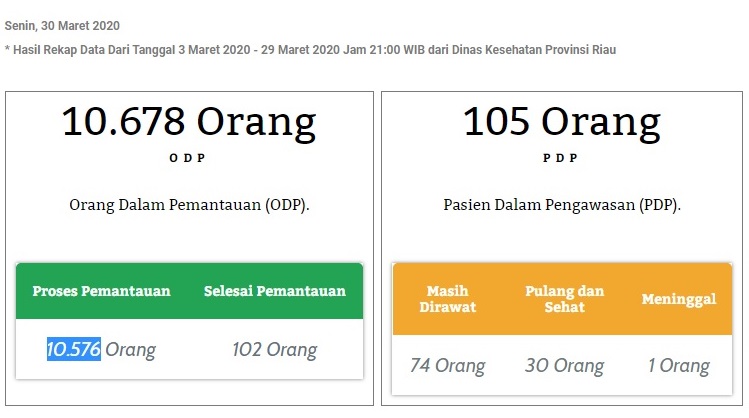 Gelombang Pulang TKI, Jumlah ODP Corona Riau Tembus 10.000 Orang