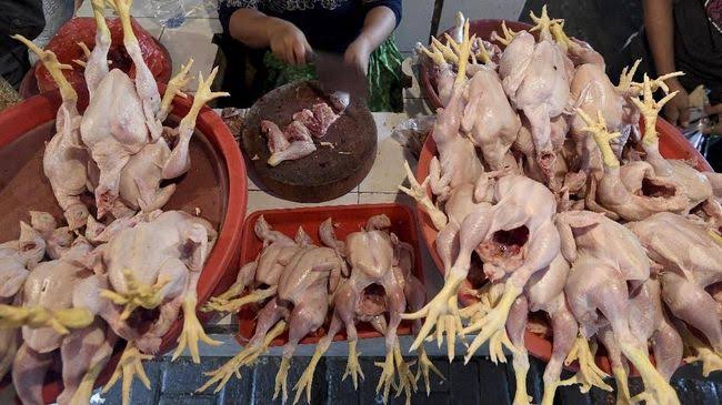 Harga Daging Ayam Potong di Siak Terus Merangkak Naik, Sekilo Tembus Rp50 Ribu