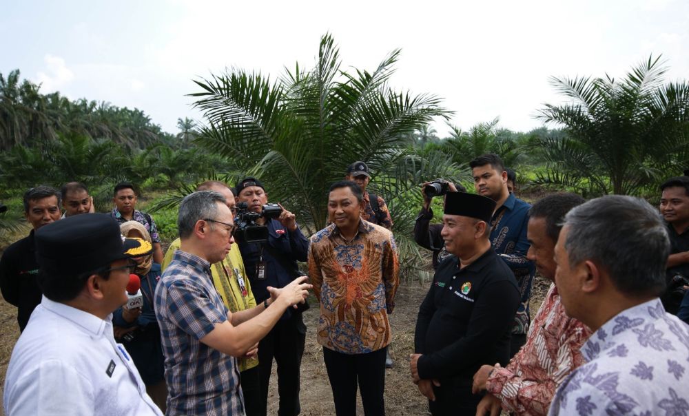 OJK Dorong Peningkatan Akses Pendanaan Kelompok Petani Sawit di Riau
