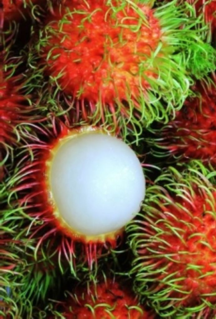 Benarkah Konsumsi Rambutan Bisa Sebabkan Munculnya Batuk?