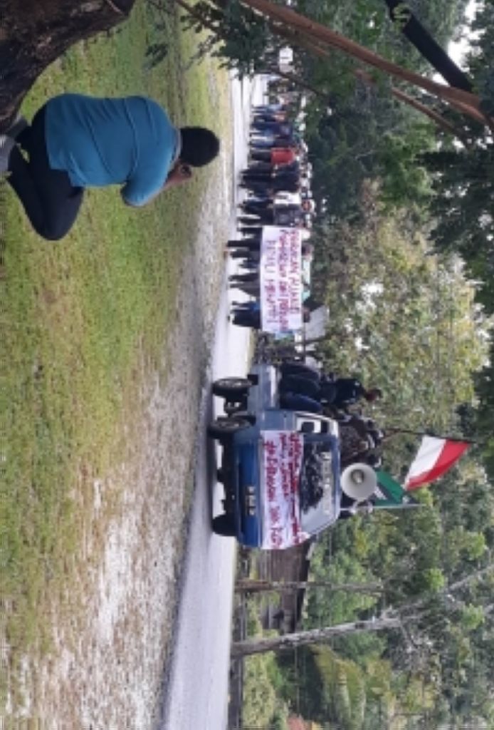 Jerat Kasus Karhutla Belenggu Buruh Meranti