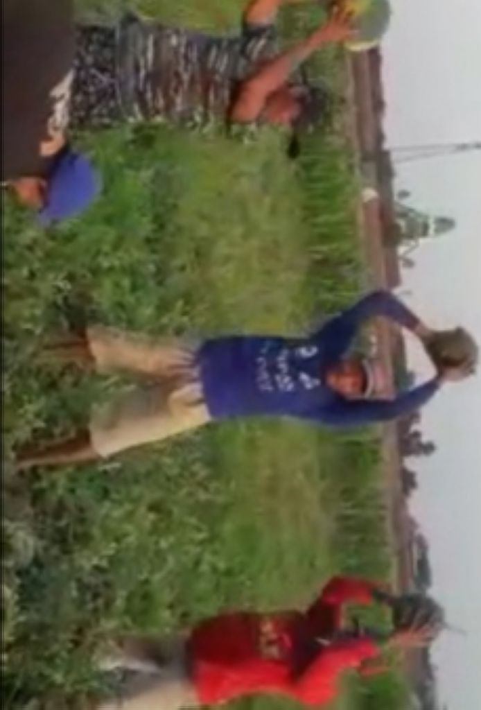 Viral Petani Hancurkan Semangka dan Blewah Hasil Panen