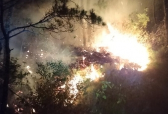 Karlahut, BPBD Aceh Tengah Berjibaku Padamkan Titik Api Hajar Lahan Terbakar