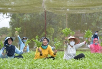Wagubri Seru Warga Riau Budayakan Gemar Tanam Sayuran dan Buah-buahan