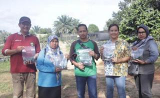 Penuhi Kebutuhan Bibit Sawit Unggul, Ini Jurus Disbun Kalimantan Timur