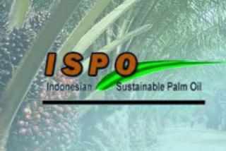 Petani Sawit Swadaya Minta Ikut Sertifikasi ISPO di Bengkulu