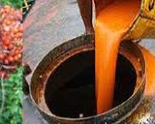 Harga CPO Periode 30 Juni-4 Juli 2023 Naik Rp﻿50,73 Per Kilogram di Jambi