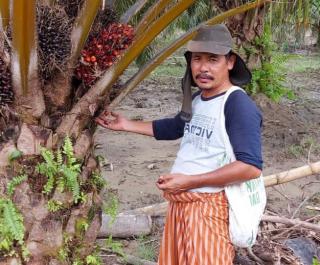 Atasi Persoalan Perkebunan Kelapa Sawit, Ini Saran Apkasindo Aceh ke BPDPKS