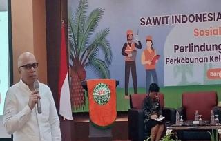 GAPKI dan BPDPKS Buktikan Sawit Indonesia Ramah Pekerja Perempuan