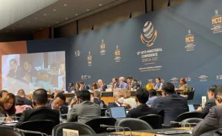 RI Ajukan Pembentukan Panel ke WTO Lindungi Biodiesel Dari Diskriminasi UE
