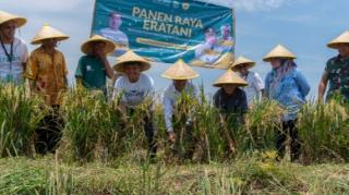 Petani Binaan Eratani di Karawang Panen Raya Sumbang Stok Pangan Nasional