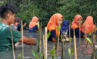 Ayo Daftar! Webinar Gratis Pengelolaan Hutan dan Skema Carbon Trading di Indonesia