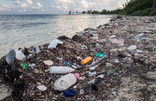 Registration Open for Webinar on Private Sector Initiatives to Reduce Marine Plastics