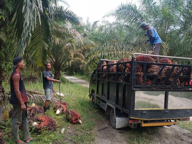 NTP Riau Mei 2024 Turun 0,66 Persen