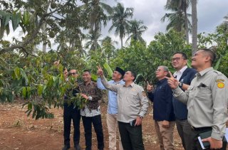 Hilirisasi Perkebunan Misi Nasional, PTPN I Ambil Peran Strategis di Bawah Holding PTPN