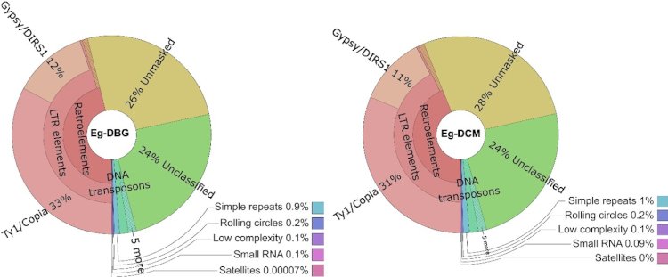 Open Black Box Genom Sawit: Inosvasi Pemuliaan Masa Depan