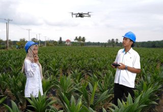 Percepat Transformasi Digital, PalmCo Sertifikasi Operator Drone Perkuat Sistem Pemantauan Kebun