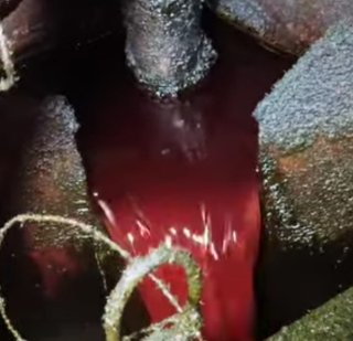 Tarif Pungutan Ekspor Sawit, CPO dan Produk Turunan Berubah Paling Tinggi 12,5 Persen