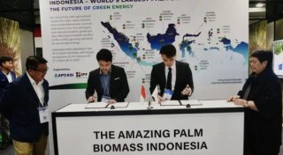 Indonesia Dilirik Jepang Lantaran Limbah Sawit Disulap Jadi Energi