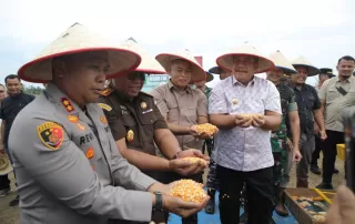 Panen Raya Jagung di Asahan, Polres dan Forkopimda Mantapkan Swasembada Pangan