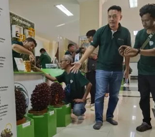 Restorasi Nyata Industri Sawit, Dapur Inovasi AAL Tenang Penuh Potensi di 'Bibir Kobar'