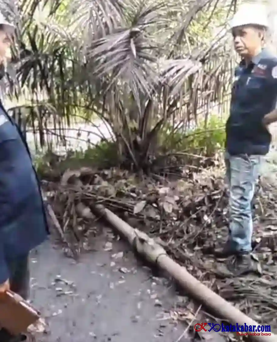 Bupati Rohul Murka! PT PKS SSM Bandal Abaikan Perintah DLH, Beroperasi Tanpan Izin dan Racuni Lingkungan