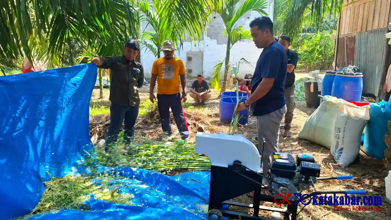 Program Semarak Riau PHR Dorong Pemuda Adat Suku Bonai Perkuat Kapasitas Peternakan