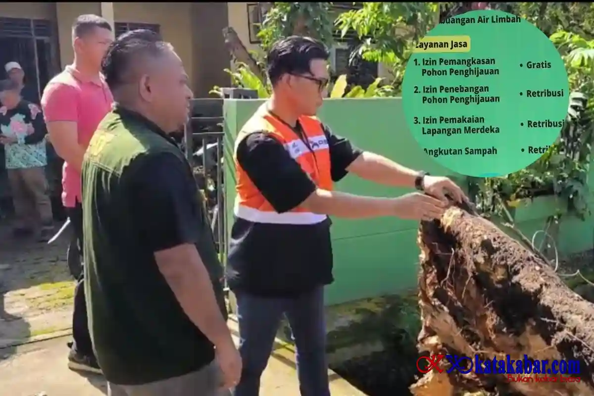 Usai Pohon Tumbang Timpa Pedagang, Muncul Dugaan Pungutan Rp900 Ribu untuk Permohonan Tebang Pohon