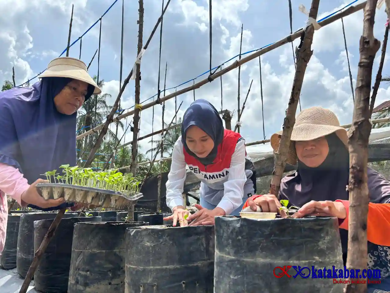Empat Kali Gagal dan Lumpuh Karena Stroke, Petani Melon Aceh Bangkit Bersama Pertamina