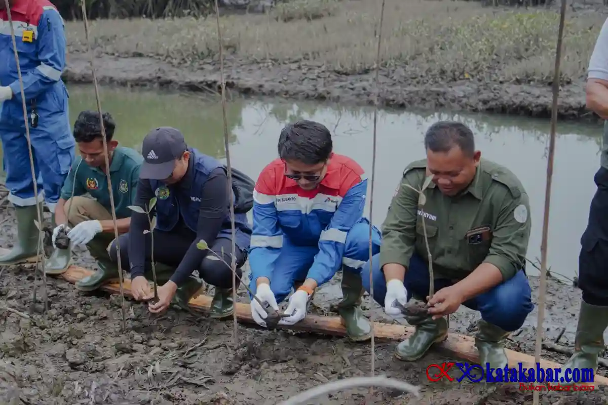 Peringati Hari Mangrove Sedunia, Pertamina EP Pangkalan Susu Tanam 2.500 Bibit Bakau untuk Lindungi Pesisir Langkat