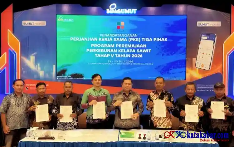 Perkuat PSR, BPDP Gelontorkan Dana Tahap V Rp168 Miliar Bagi 2.800 Hektare Kebun Rakyat