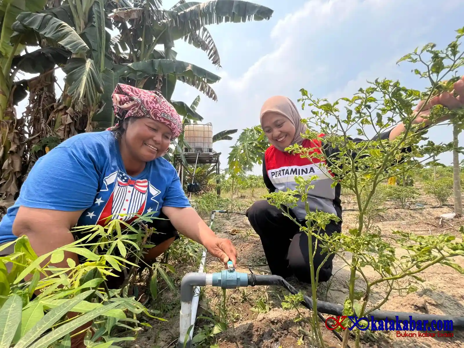 Inovasi Irigasi Tetes PHR Atasi Krisis Air Saat Kemarau Bagi KWT Perawang