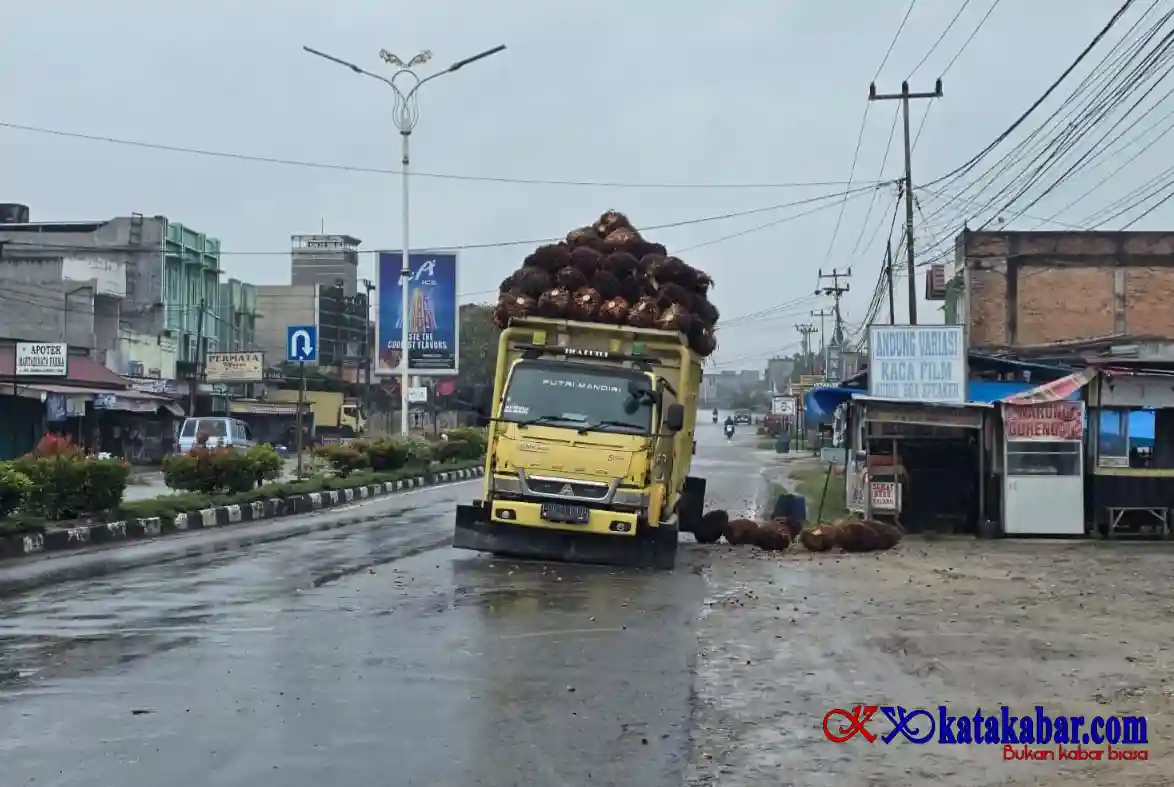 Muatan TBS Sawit Berceceran, Warga Ujungbatu Minta Truk Overdimension Ditindak
