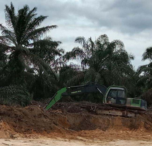 Wamenkeu RI: Data Kebun Sawit Dimiliki Negara Banyak Tapi Tidak Singkron