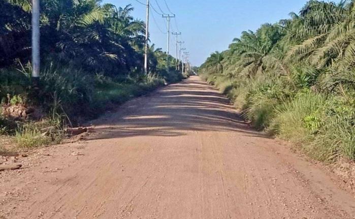 Pengawasan Lalu Lintas Benis Sawit Diperketat Lewat Bandar Udara di Palembang