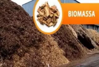 'Hijaukan' PLTU,  Indonesia Gencarkan Pemanfaatan Biomassa