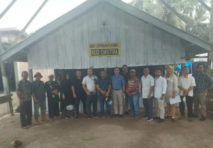 Sukses di Muaro Jambi, Giliran Sawit Rakyat di Pasbar Direplanting PTPN VI