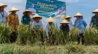 Petani Binaan Eratani di Karawang Panen Raya Sumbang Stok Pangan Nasional