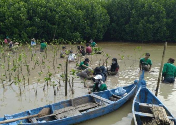 Rilis Laporan 2023, Lindungi Hutan Ungkap Kontribusi Bagi Sosial dan Lingkungan