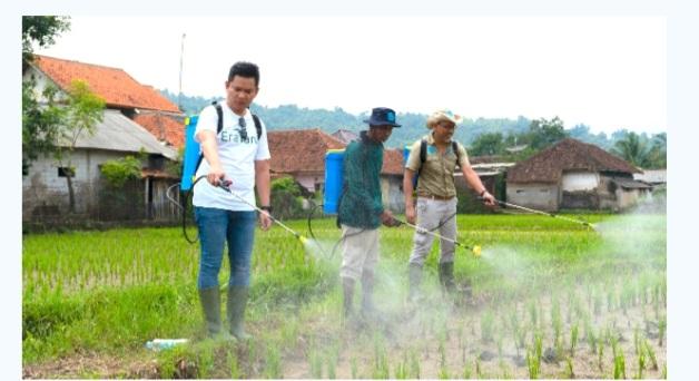 Lebih Maju Untuk Pertanian Berkelanjutan, Eratani Inisiasi Penggunaan Pupuk Hayati