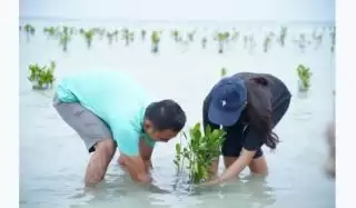 PT Multi Guna Maritim Gelar Aksi Penanaman Seribu Mangrove di Pulau Pari