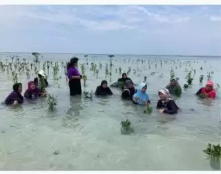 Perusahaan Teknologi Hikvision Rayakan Hari Lingkungan Hidup