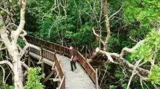 Jelajahi Pesona Alam Riau Liburan Sekolah Makin Seru