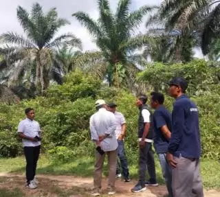 Petani Desa Tunas Baru Minta Bantuan Aspek-PIR Perjuangkan Lahan Sawit Berstatus HGU