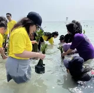 Tanam Seribu Mangrove di Pulau Pari Buah Kolaborasi AsetKu dan LindungiHutan